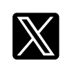 公式X